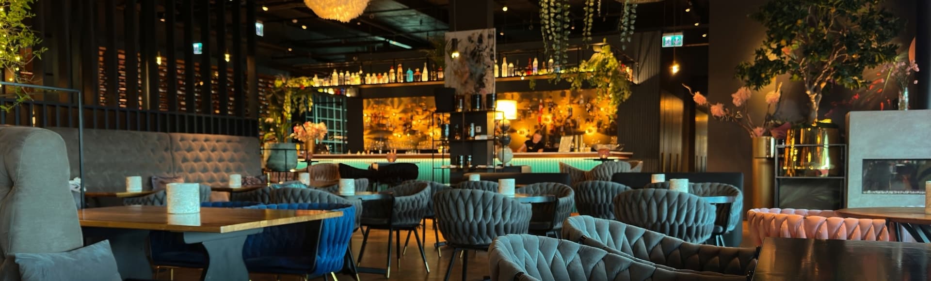 Restoran & Kafe
